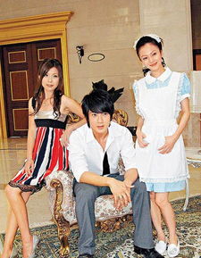离婚后，做回我的公主小妹——热门短剧资讯--第1张