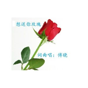 赠你一世玫瑰，爱情永恒的承诺--第1张