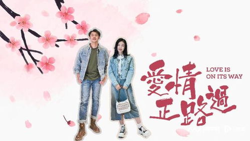 狼婿下山，热播短剧资讯--第1张