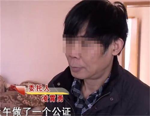 闪婚后，大叔每天狂宠我，热播短剧新爆款--第1张