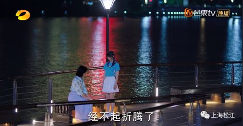 傅先生别追了大小姐是假的~·热播短剧资讯--第1张