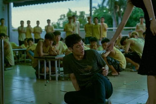 孤注一掷之无路可逃，短剧热播资讯--第1张