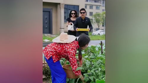 大小姐归来，短剧资讯火爆来袭--第1张