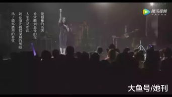 开局离婚天后演唱会现场请我出道热播短剧资讯，离婚娱乐小说中的明星出道之路--第1张