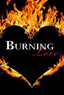 爱的火焰，燃烧的情感--第1张