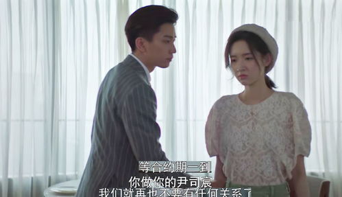 离婚后，五个未婚妻倒追，我的热辣生活剧--第1张