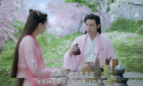 一见君来误此生，热播短剧资讯--第1张
