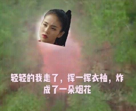 雨落尘归曼娜热播短剧资讯 雨落归尘小说--第1张