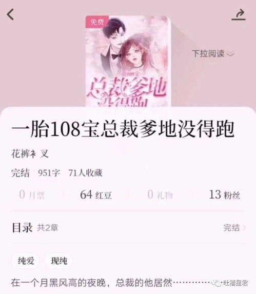 一胎俩宝:总裁爹地超给力热播短剧资讯--第1张