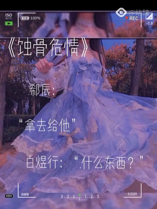 陆先生请放手，焚尽柔情，许你半世缘--第1张
