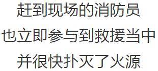 死遁后慕大人后悔了短剧最新资讯 死遁后我成了大佬们的白月光格格党--第1张