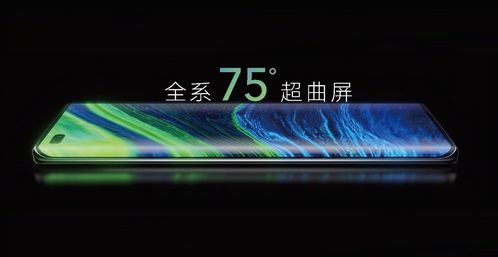 爱意随风起短剧最新资讯 爱意随风起短剧最新资讯网盘--第1张