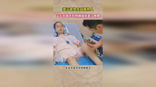 植物人妻子弃夫求生，医院巅峰对决--第1张