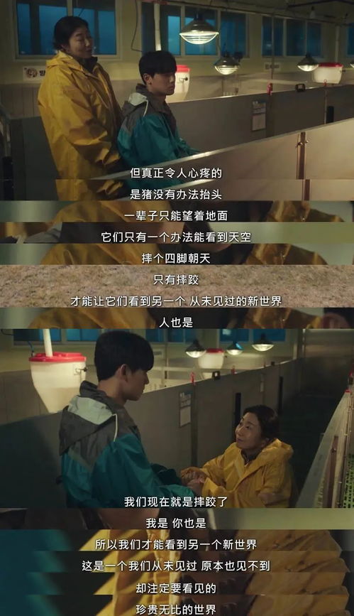 在逃千金要复仇短剧最新资讯 在逃系列--第1张