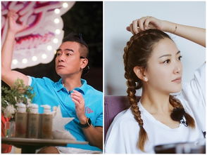 顾总替嫁妹妹不好惹，短剧最新资讯--第1张