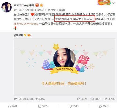 闪婚霸总放肆宠短剧最新资讯 闪婚霸总超宠--第1张