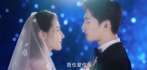 贺总夫人喊你别演了，短剧最新资讯--第1张
