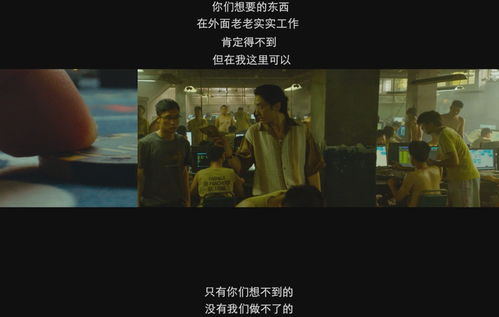 孤注一掷之禁爱成瘾短剧最新资讯--第1张
