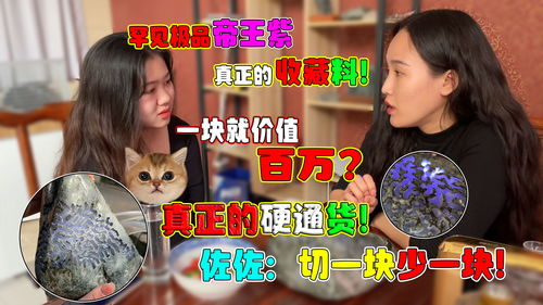 千金斗极品家婆，最新短剧资讯，一场家庭大战即将上演！--第1张