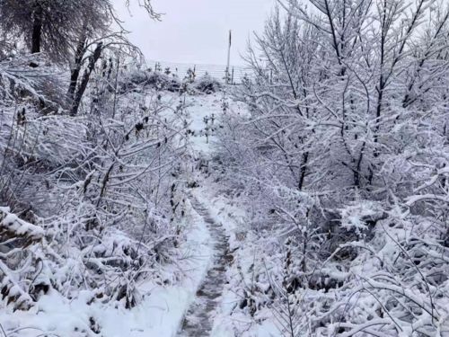 雪落下的声音，新剧资讯与好看视频解析--第1张