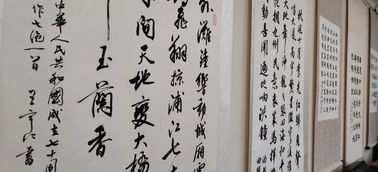 庶女进阶录，恰似故人来--第1张