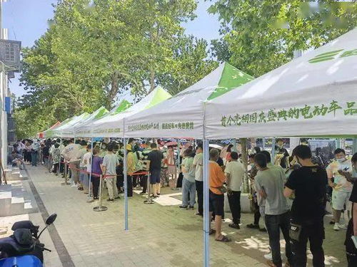 霍少的替嫁新娘短剧情发展最新报道--第1张
