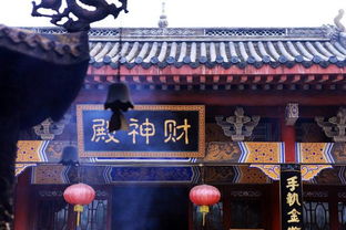 青龙殿短剧最新资讯 青龙殿是哪个小说的--第1张
