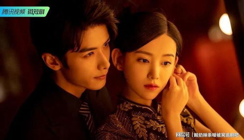 傅总虐爱罪妻，短剧最新剧情曝光--第1张