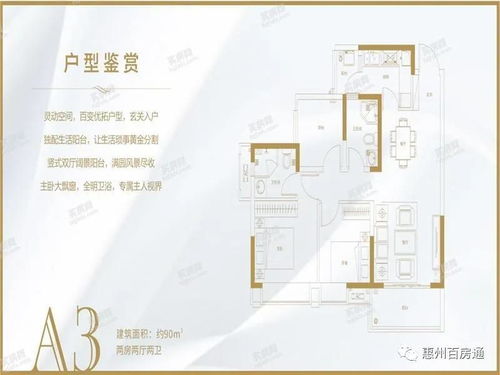 下山祸害你师姐，最新短剧剧情更新--第1张