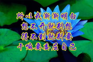 途径你的盛放世界以痛吻我短剧最新资讯 途经你盛放全文免费阅读--第1张