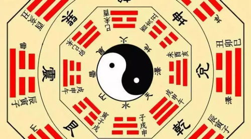 九星龙帅短剧最新资讯，九星龙法详解--第1张