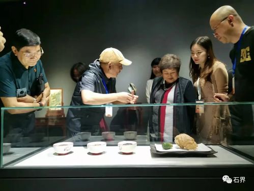 大亨短剧颠覆传统，打造全新视觉盛宴的最新资讯--第1张