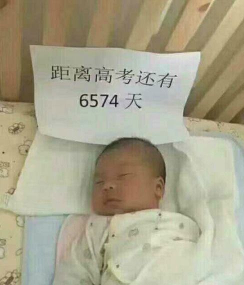 霍总夫人让您闭嘴短剧最新资讯 霍总夫人让您闭嘴短剧最新资讯免费--第1张