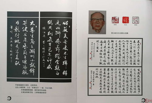 唯吾独尊短剧最新资讯，前半句是什么？--第1张