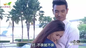 大叔宠妻超甜短剧全集免费观看资讯--第1张