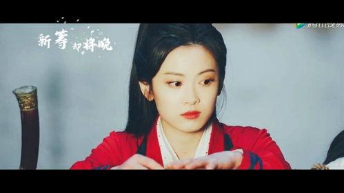 双面赘婿不好惹短剧全集免费观看资讯--第1张