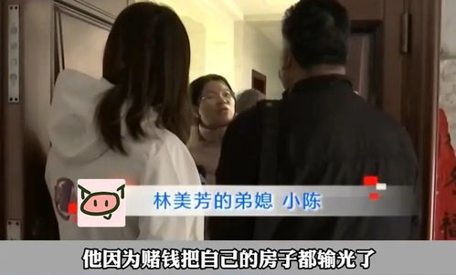 被赶出家门后我继承了亿万家产[星际]--第1张