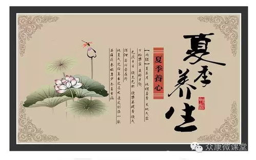 狂草~第一季短剧全集免费观看资讯 狂草是什么意思?--第1张
