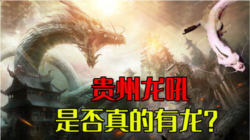 坠龙短剧全集免费观看，独家资源，一网打尽--第1张