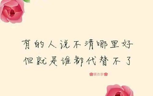南风不知我意全集免费观看，短剧资讯--第1张