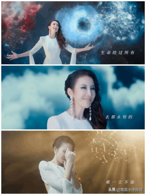 重生消失的她短剧全集免费观看资讯--第1张