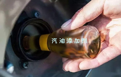 离婚后三个大佬都要娶我短剧免费观看，独家全集资讯--第1张