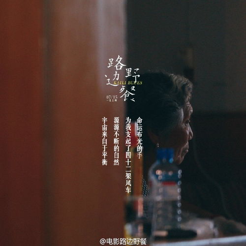 今时重逢不相识短剧全集免费观看，短剧下载--第1张