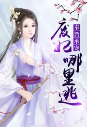 奉旨追妃短剧全集免费观看资讯，奉旨追妃短剧全集免费观看资讯视频--第1张