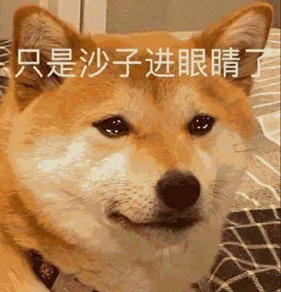 我再也不想恋爱了我有九千万亿舔狗金短剧全集免费观看资讯 我再也不想谈恋爱--第1张