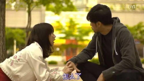对不起，我不爱你了短剧全集免费观看，独家资讯在线观看--第1张