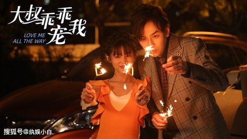 隐龙之护妻高手全集免费观看--第1张