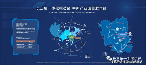 他的荣耀，合短剧全集免费观看资讯--第1张