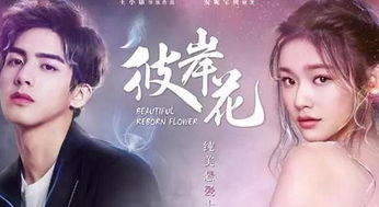 情深浅浅俩依依短剧全集免费观看资讯 情深浅浅by--第1张
