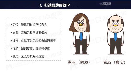 离婚后我不装穷了短剧全集免费观看资讯，新生活，新开始--第1张